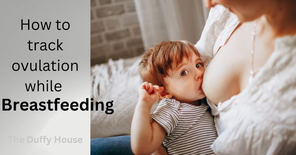 How to Track Ovulation While Breastfeeding